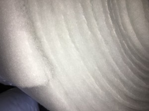 IMG 8482